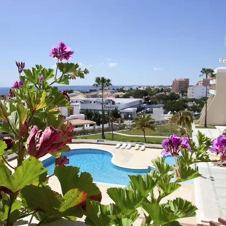 O A Ramos Palmeira Galé Está Inserido Num Com Piscina, Fica Apenas A 250 Metros Da Da Galé - Com Ar Condicionado Na Sala, Smart Tv Com Prime Vídeo E Cozinha Completa Appartement *