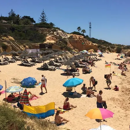 O A Ramos Palmeira Galé Está Inserido Num Com Piscina, Fica Apenas A 250 Metros Da Da Galé - Com Ar Condicionado Na Sala, Smart Tv Com Prime Vídeo E Cozinha Completa Appartement